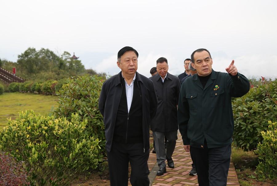 19-2021年10月，原國土資源部副部長汪民蒞臨公司調(diào)研。.jpg