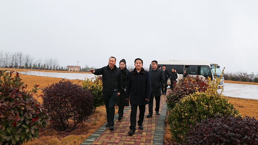 45-2020年12月，省高級人民法院黨組成員、副院長任建國蒞臨金徽股份調(diào)研知識產(chǎn)權(quán)司法保護工作。.jpg